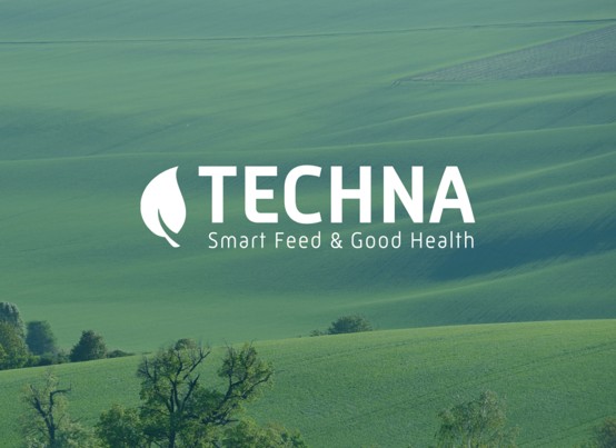 Image 2 - Techna